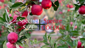 Combining Spectre size and colour