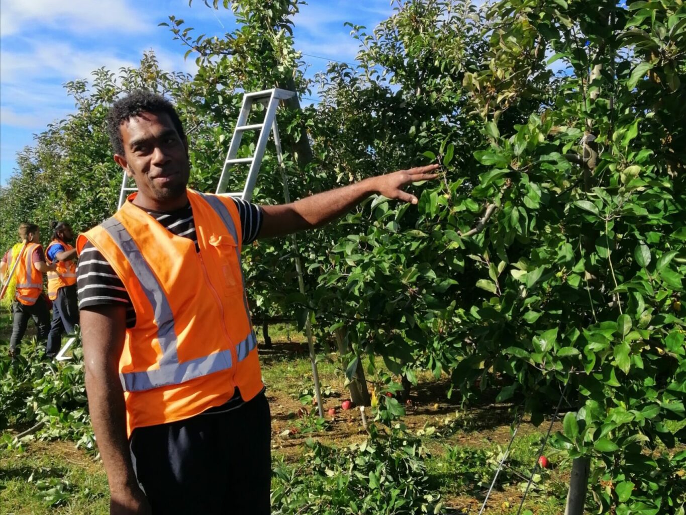 photo of apple orchard supervisor