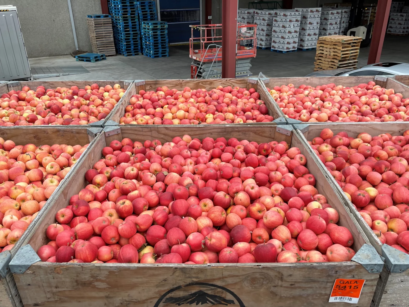 6 bins full of apples at Monson Fruit