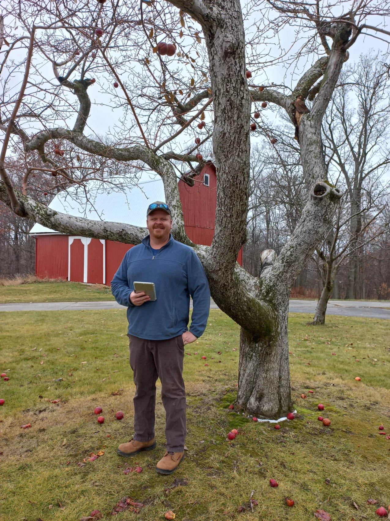 Man stands under an apple tree with a barn in the background.