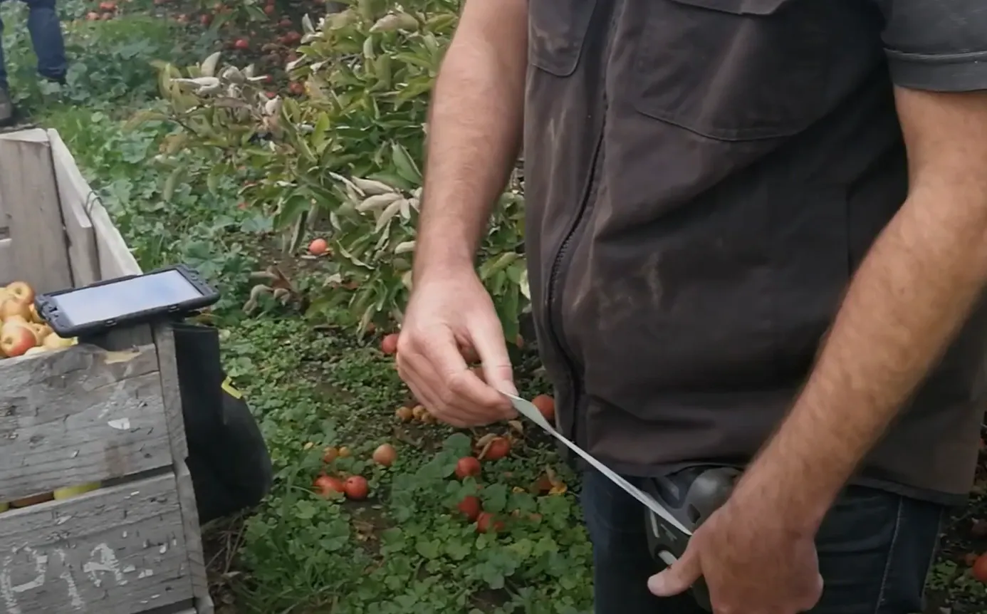 A mobile bin tag printer attached to a orchard worker's belt with a ticket being printed.