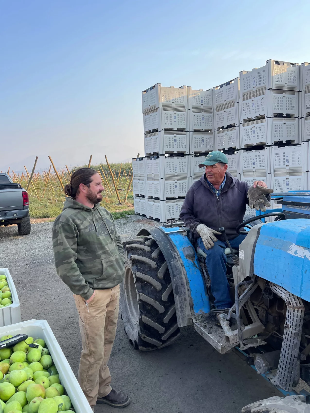 Man talks to guy on a blue tractor with bins of pears beside him.