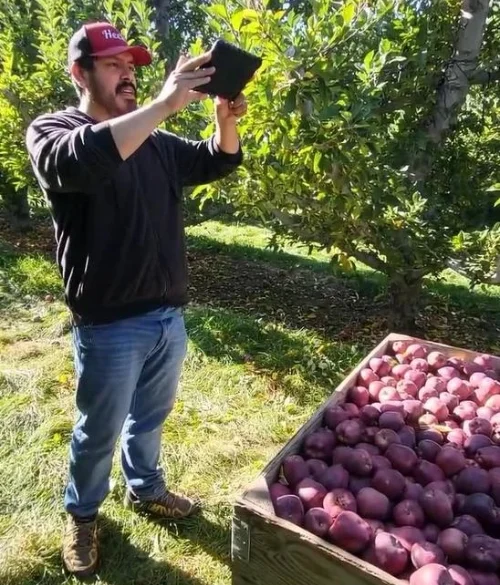 Man holds app over fruit
