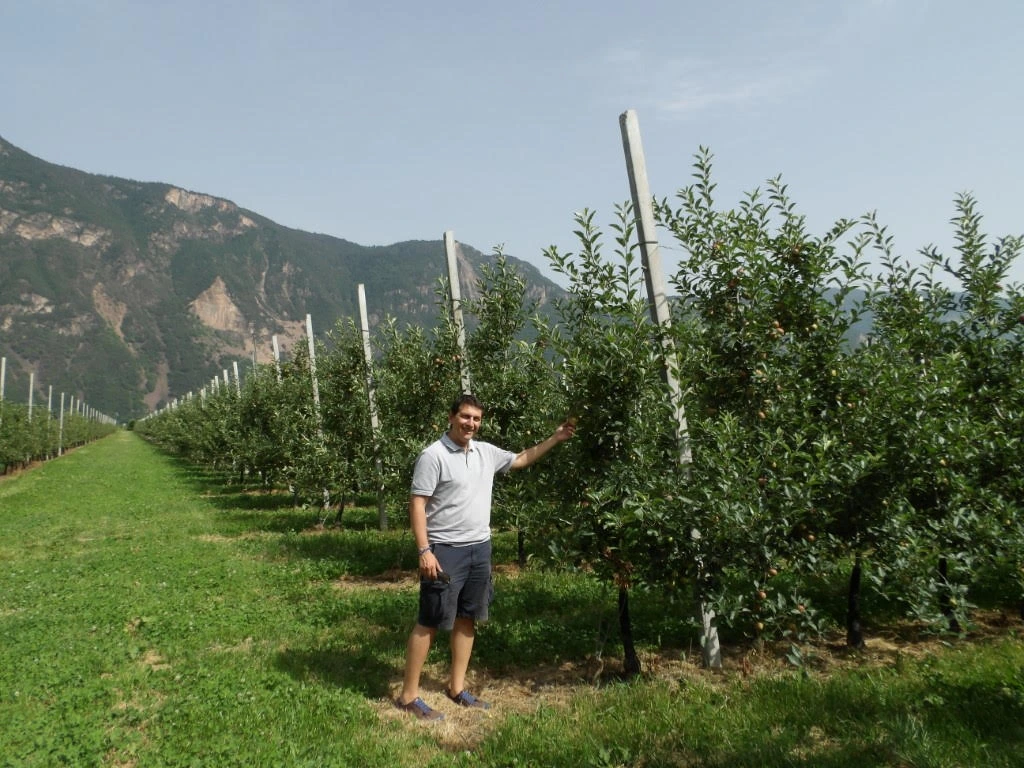 Man stands in orchard.