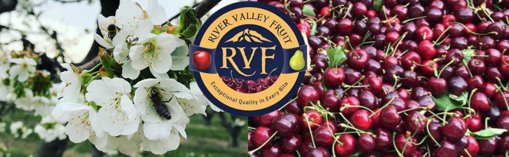 River Valley Fruit logo
